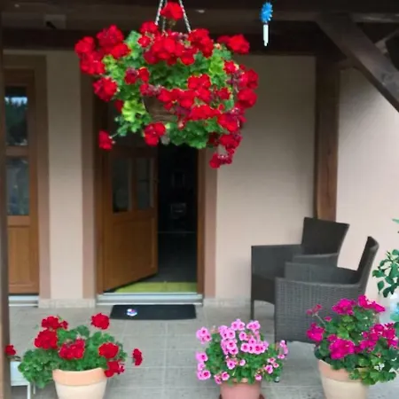 Apartman Kod Kraljevih Gola Exterior photo